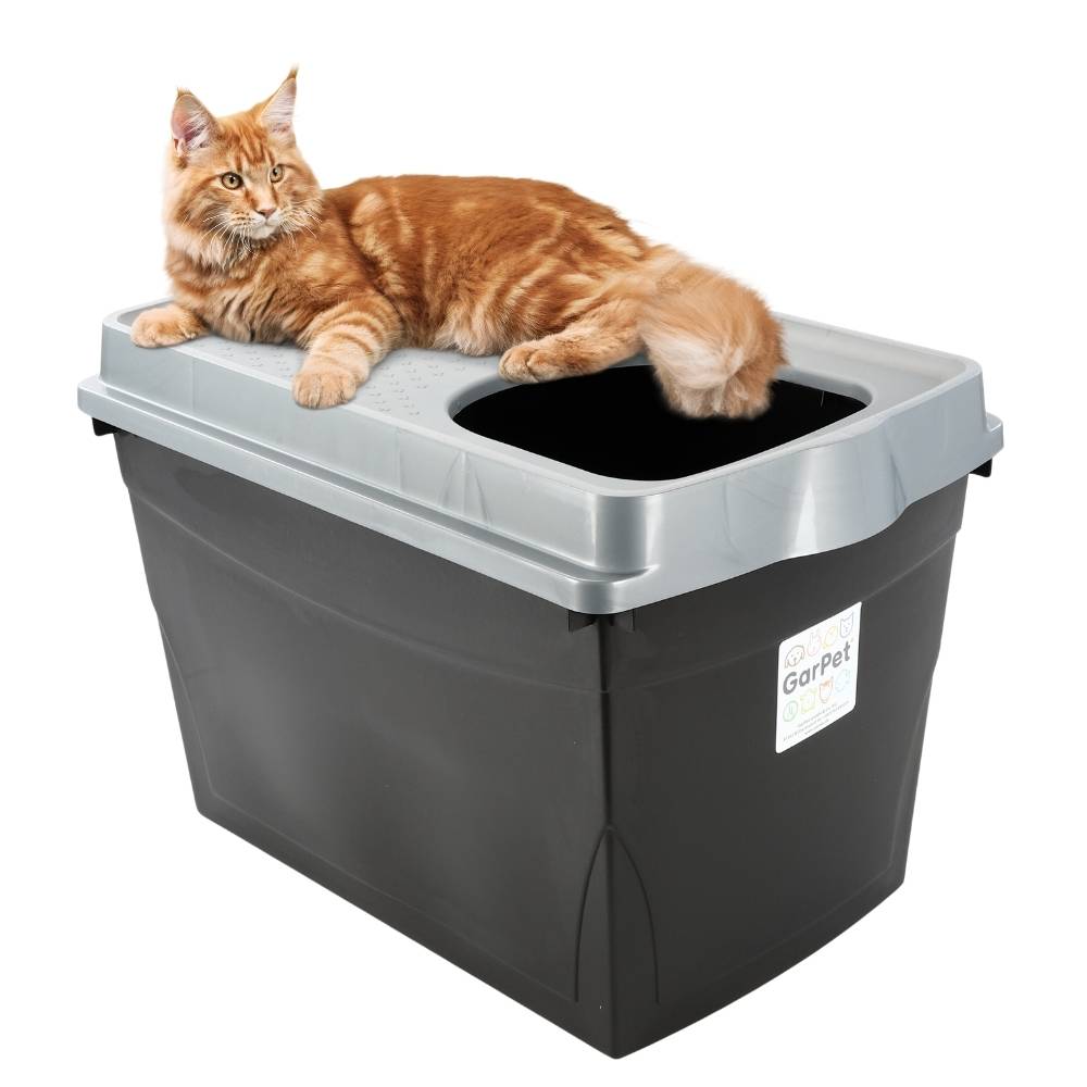 Hop-In Katzenklo Katzentoilette Top Entry Jump-In XXL Haubentoilette Groß Einstieg oben Katzen WC Klo schwarz