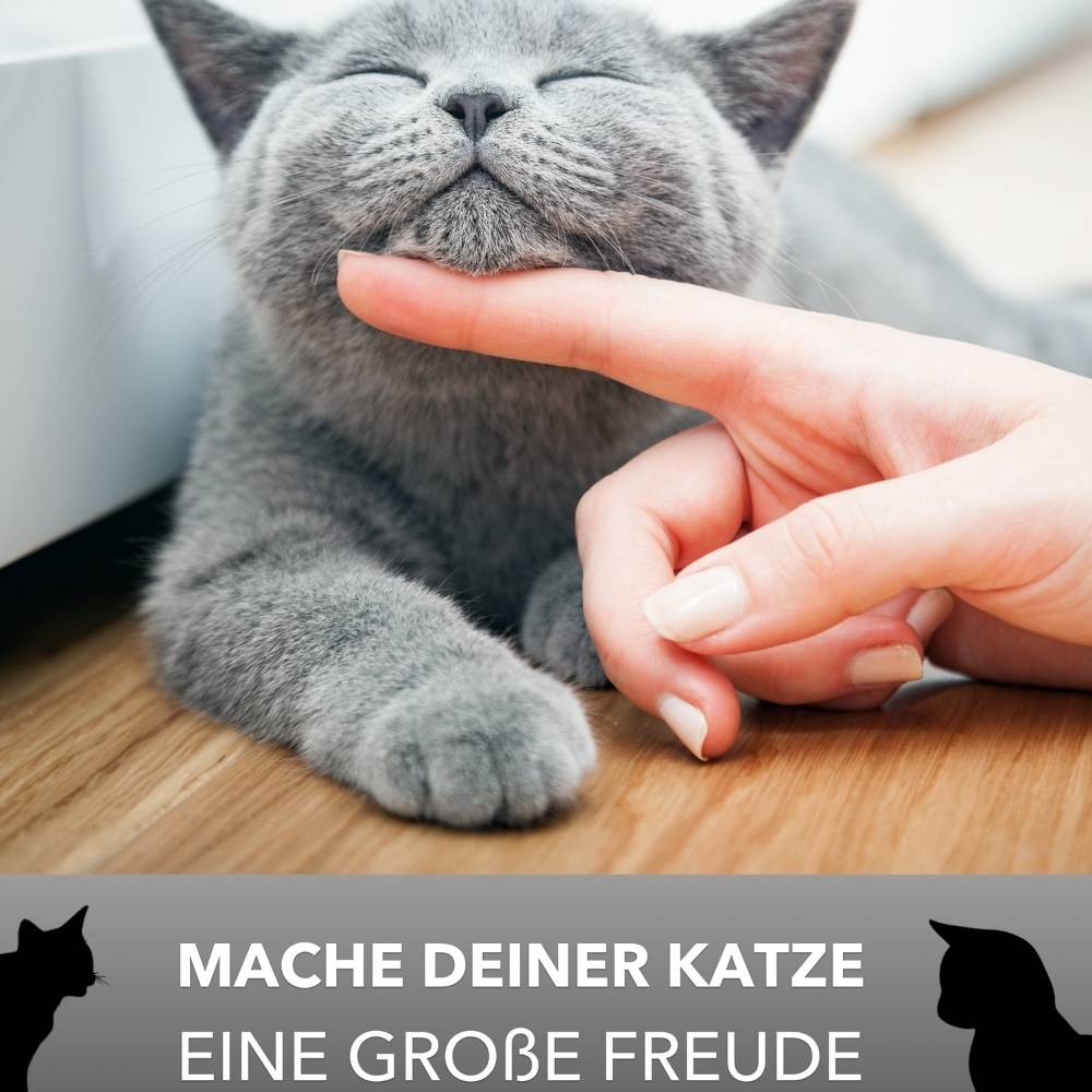 Hop-In Katzenklo Katzentoilette Top Entry Jump-In XXL Haubentoilette Groß Einstieg oben Katzen WC Klo schwarz