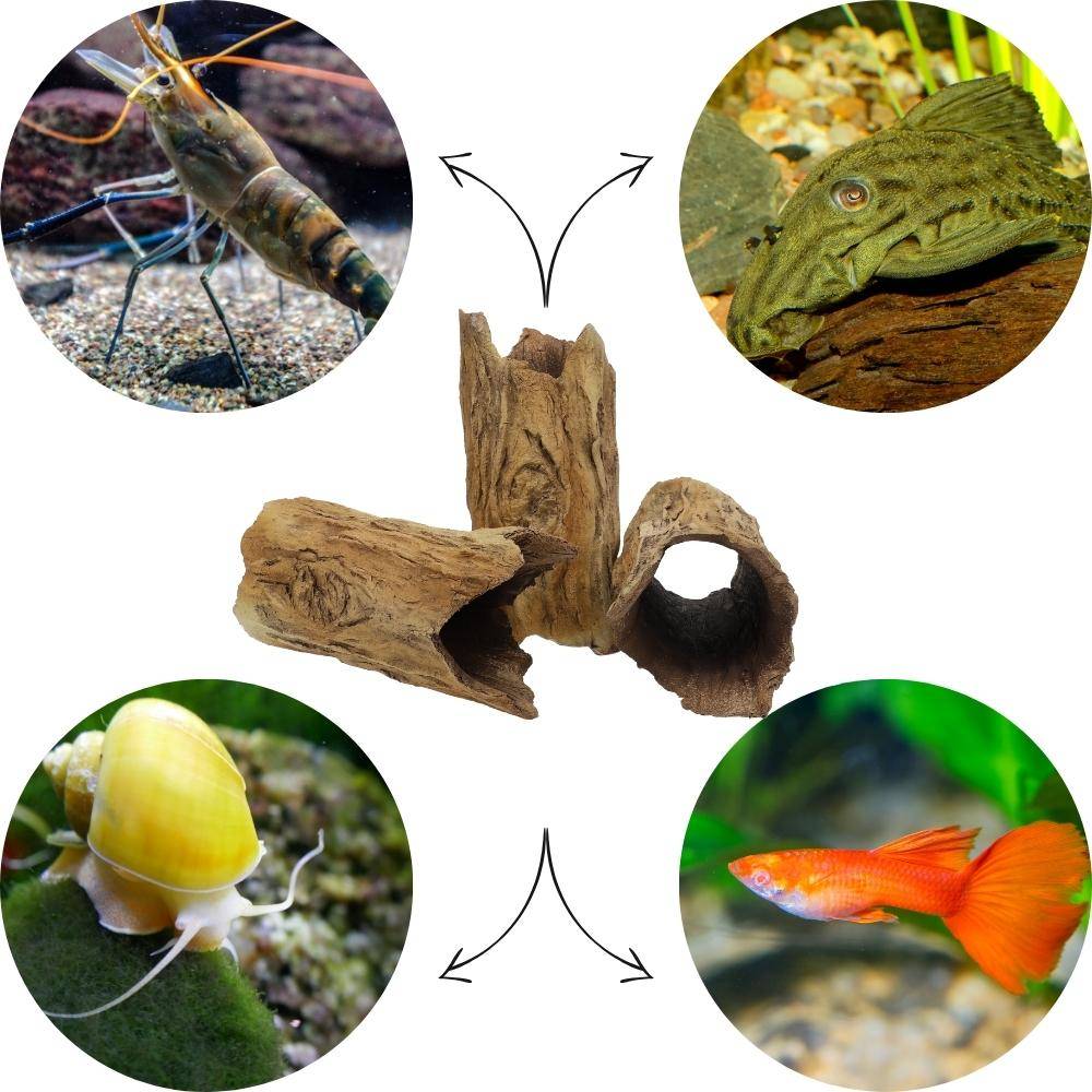 Aquarium Deko XXL Baumstamm Höhle Röhre Aquariendeko Ablaichhöhle Barsch Fisch Krebs Wels Tonröhre Laichhöhle