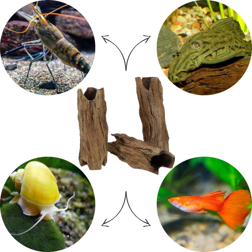 Aquarium Deko Höhle Röhre Aquariendeko Wurzel Ast Holz Ablaichhöhle Ablaichröhre Fisch Krebs Wels Laichröhre Tonröhre Laichhöhle