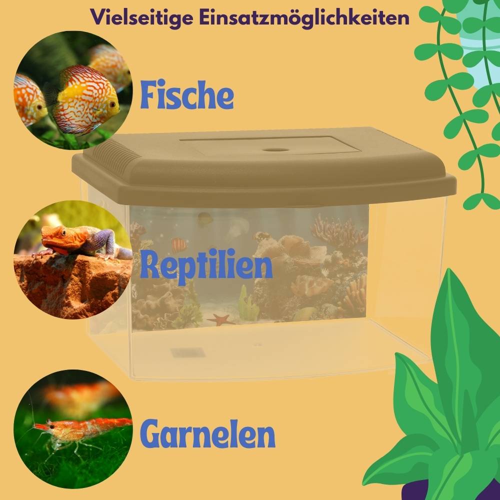 GarPet Mini Aquarium Terrarium Faunarium Zucht Becken klein Fisch Triops Garnelen Acryl Kunststoff Plastik mit Deckel Rückwandfolie