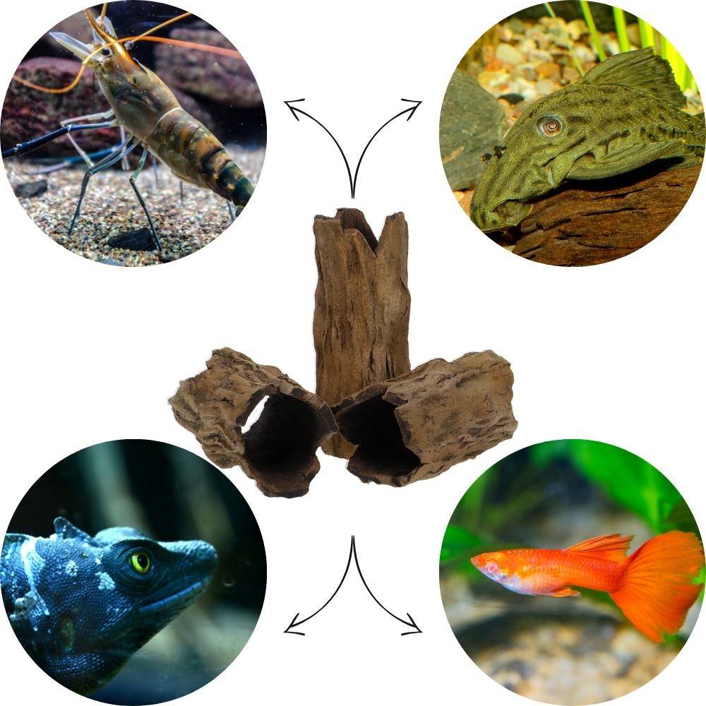 Aquarium Deko Höhle Röhre Aquariendeko Wurzel Ast Holz Ablaichhöhle Ablaichröhre Fisch Krebs Wels Laichröhre Tonröhre Laichhöhle