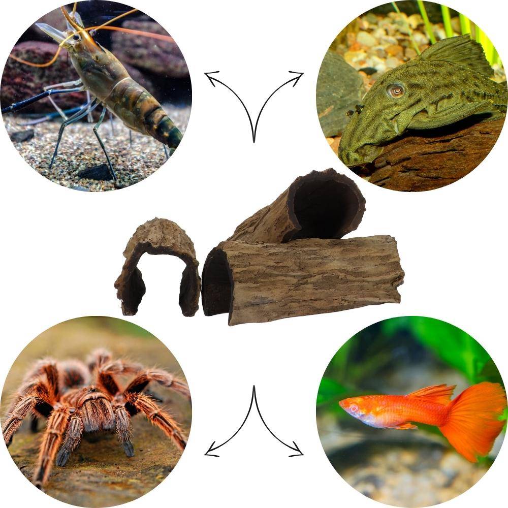 Aquariumdeko Baumrinde Baumstamm Halbbogen Aquarium Terrarium Dekoration Reptilien Versteck Höhle Ablaichhöhle Krebshöhle