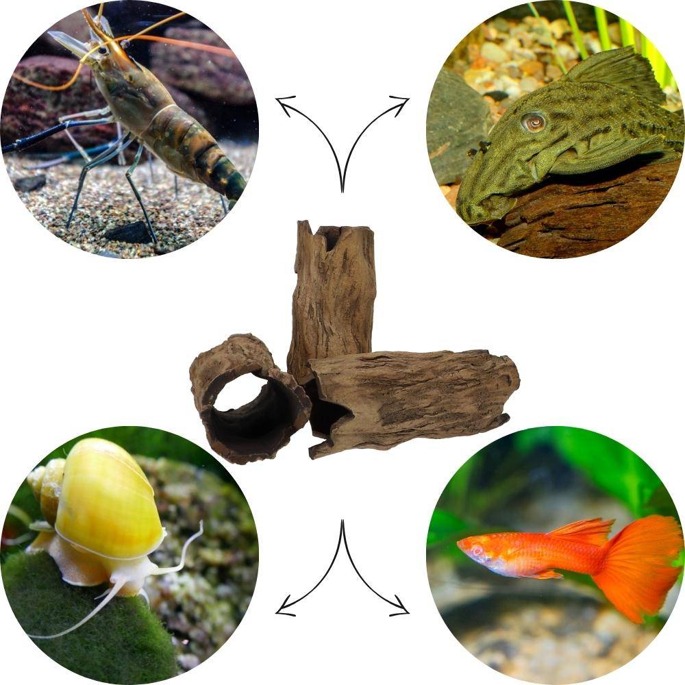 Aquarium Deko Höhle Röhre Reptilien Wurzel Ast Holz Ablaichhöhle Ablaichröhre Fisch Krebs Wels Laichröhre Tonröhre Laichhöhle