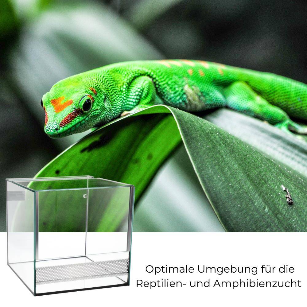 GarPet Glas Terrarium 30x30x30 cm Reptilien Amphibien Spinnen Glasterrarium mit Alu Belüftung Falltür Guillotine Tür