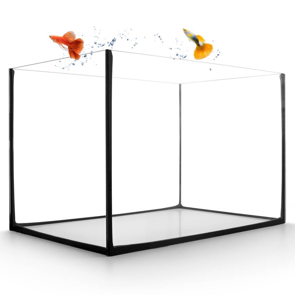 Aquarium Becken rechteckig standard Größen Glas Aquariumbecken Garnelenaquarium Mini Aquarium Salzwasseraquarium Nanobecken 30x20x20