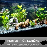 Aquarium Becken rechteckig standard Größen Glas Aquariumbecken Garnelenaquarium Mini Aquarium Salzwasseraquarium Nanobecken 30x20x20 Aquarium Becken rechteckig standard Größen Glas Aquariumbecken Garnelenaquarium Mini Aquarium Salzwasseraquarium Nanobecken 30x20x20