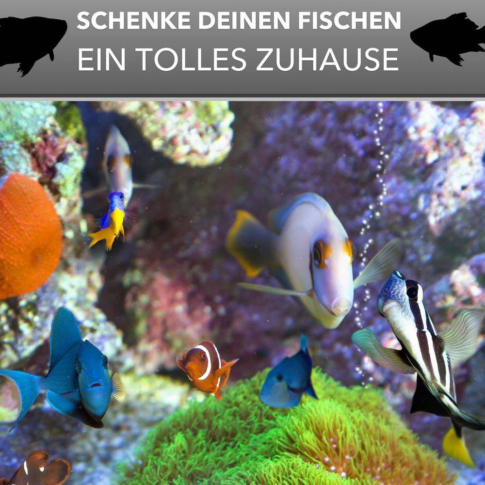 Aquarium Becken rechteckig standard Größen Glas Aquariumbecken Garnelenaquarium Mini Aquarium Salzwasseraquarium Nanobecken 30x20x20