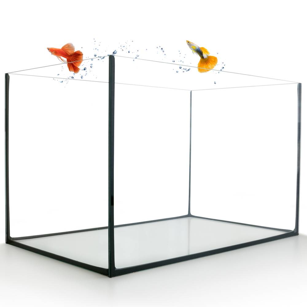 Aquarium Becken rechteckig standard Größen Glas Aquariumbecken Garnelenaquarium Mini Aquarium Salzwasseraquarium Nanobecken 40x25x25