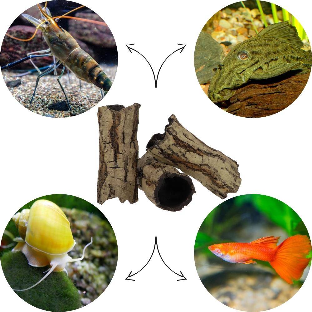 Aquarium Deko Höhle Röhre Reptilien Wurzel Ast Holz Ablaichhöhle Ablaichröhre Fisch Krebs Wels Laichröhre Tonröhre Laichhöhle