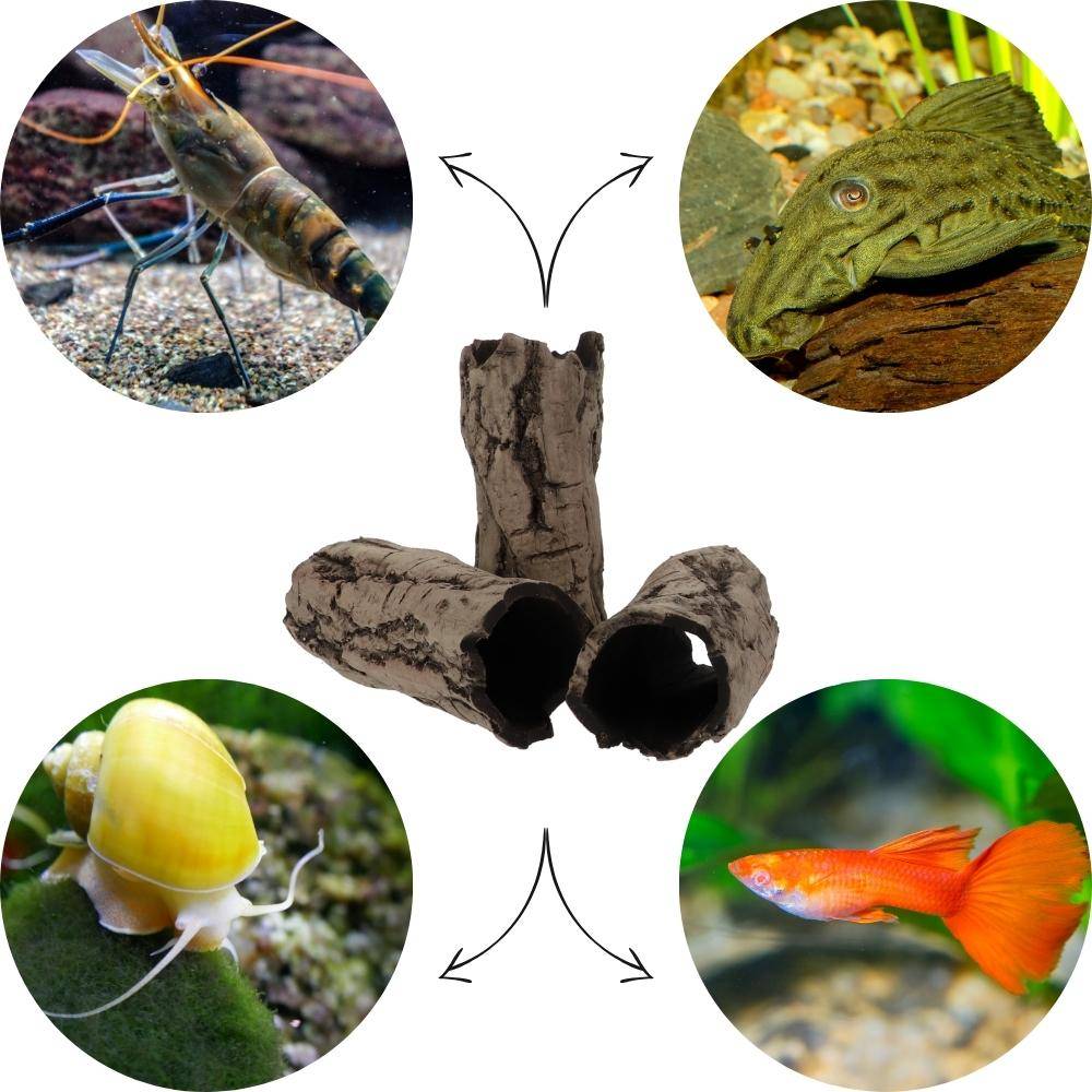 Aquarium Deko Höhle Röhre Reptilien Wurzel Ast Holz Ablaichhöhle Ablaichröhre Fisch Krebs Wels Laichröhre Tonröhre Laichhöhle