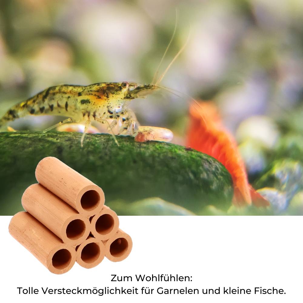 Aquariendeko Pyramide 6er Garnelenröhre Aquarium Deko Garnelen Garnelenhöhle Krebshöhle Welsröhre Laichröhre Keramik Ton terracotta