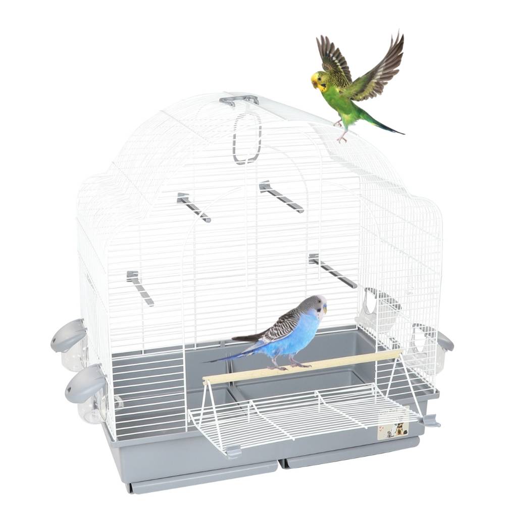 Vogelkäfig Wellensittich Großsittich Papagei Käfig vorne Freisitz offen Freiflug