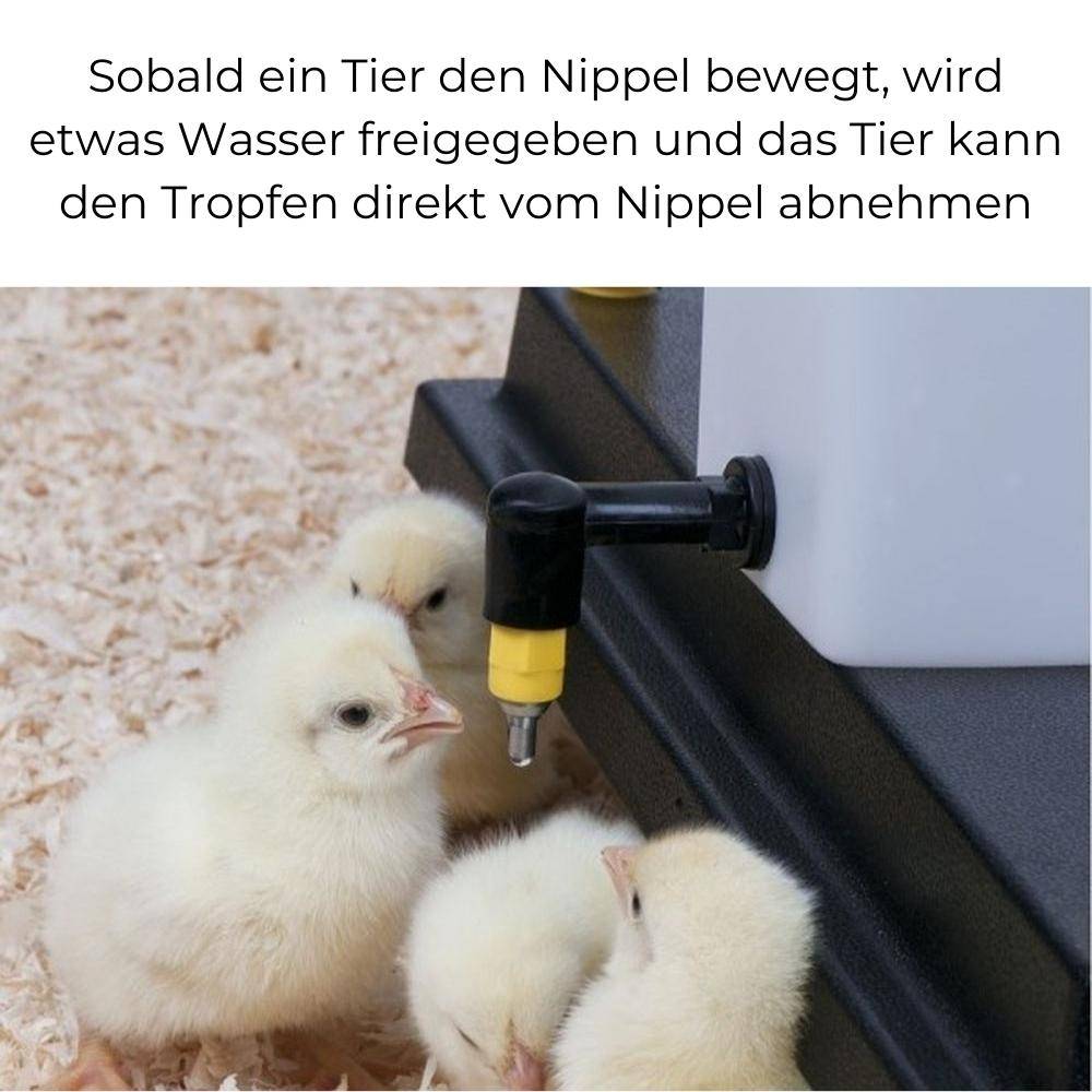 Nippeltränke Wassertränke mit Haltebügel 500 ml