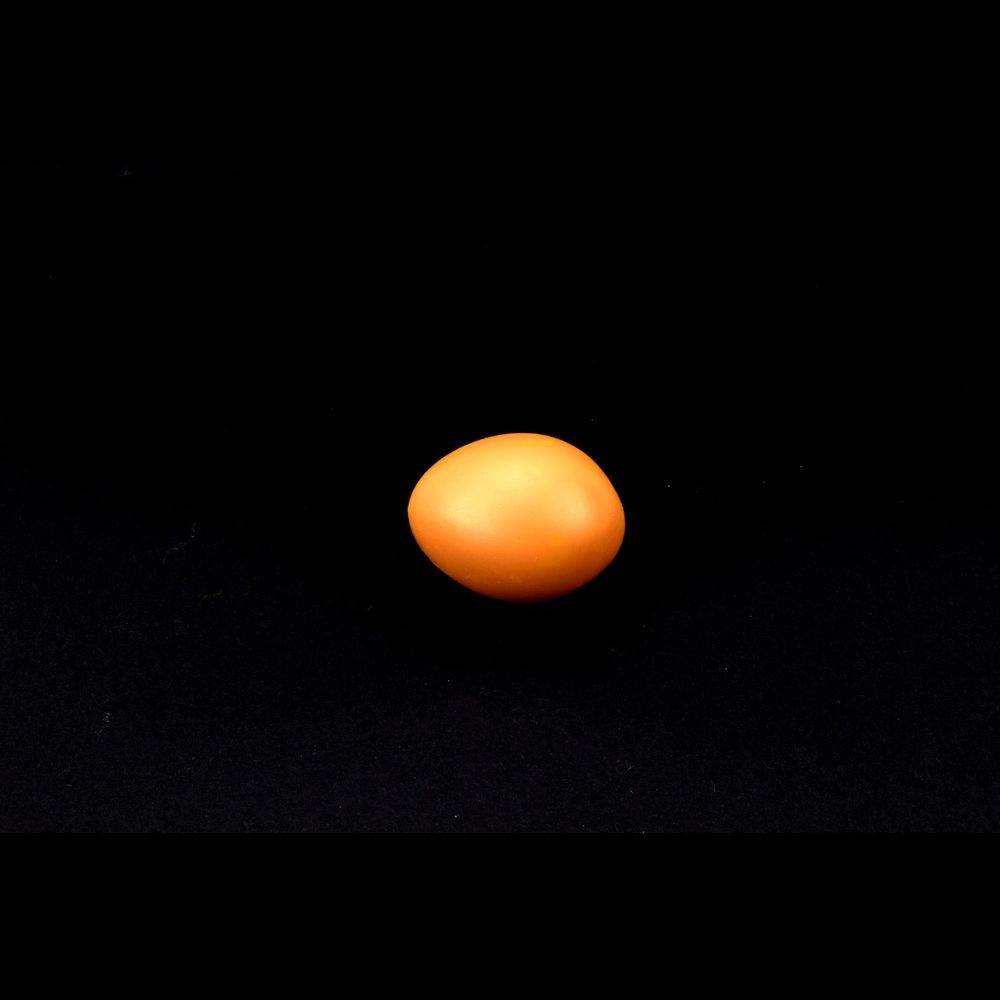 Nesteier Gipseier Gr.3