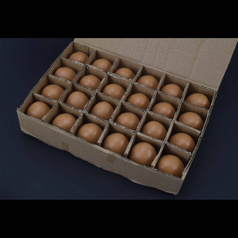 Nesteier Gipseier Gr.3