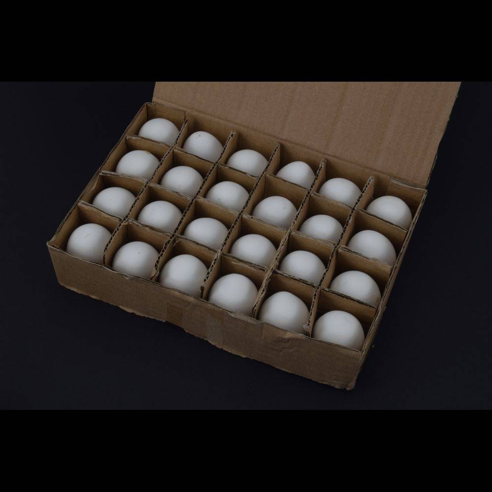 Nesteier Gipseier Gr.2