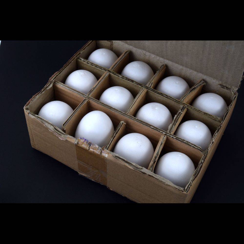 Nesteier Gipseier Gr.5