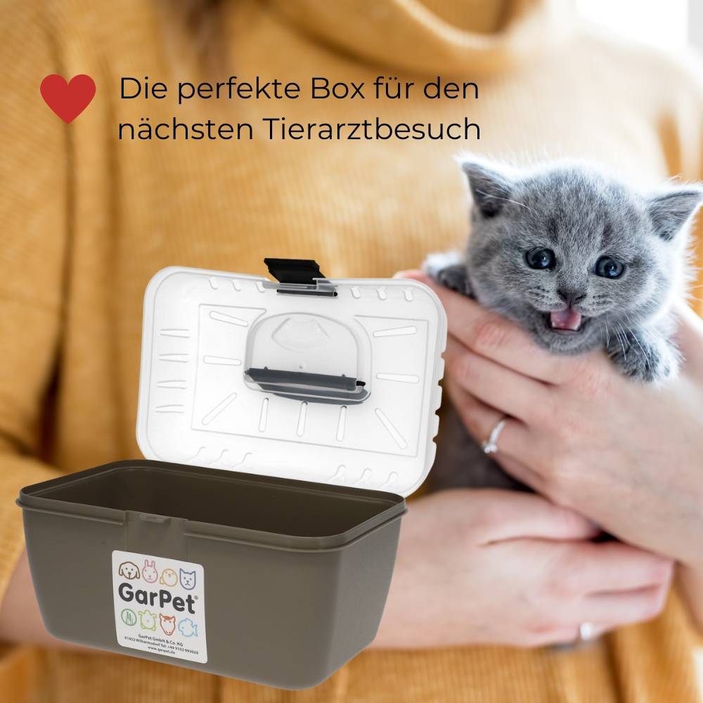 Transportbox Kleintier Meerschweinchen Hamster Vogel Mäuse Nagetier Tiertransportbox Trage Box Reisebox Kleintiertransportbox Transportkiste