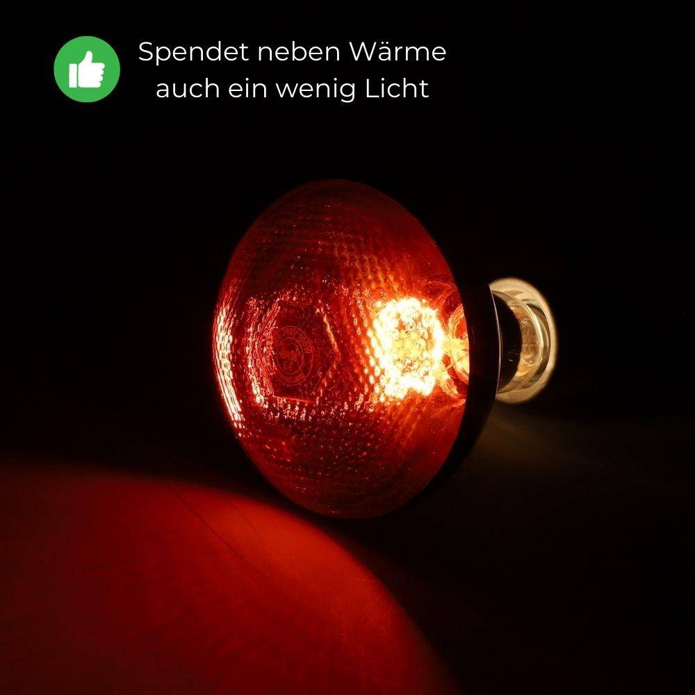 GarPet Rotlichtlampe Wärmelampe Tiere Gesicht Infrarotlampe 100 Watt Infrarot Lampe Terrarium Baby Geflügel Infrarotbirne