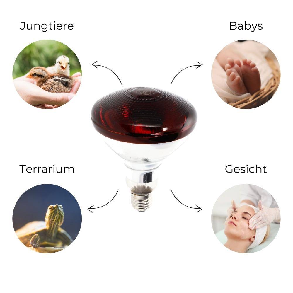 GarPet Rotlichtlampe Wärmelampe Tiere Gesicht Infrarotlampe 100 Watt Infrarot Lampe Terrarium Baby Geflügel Infrarotbirne