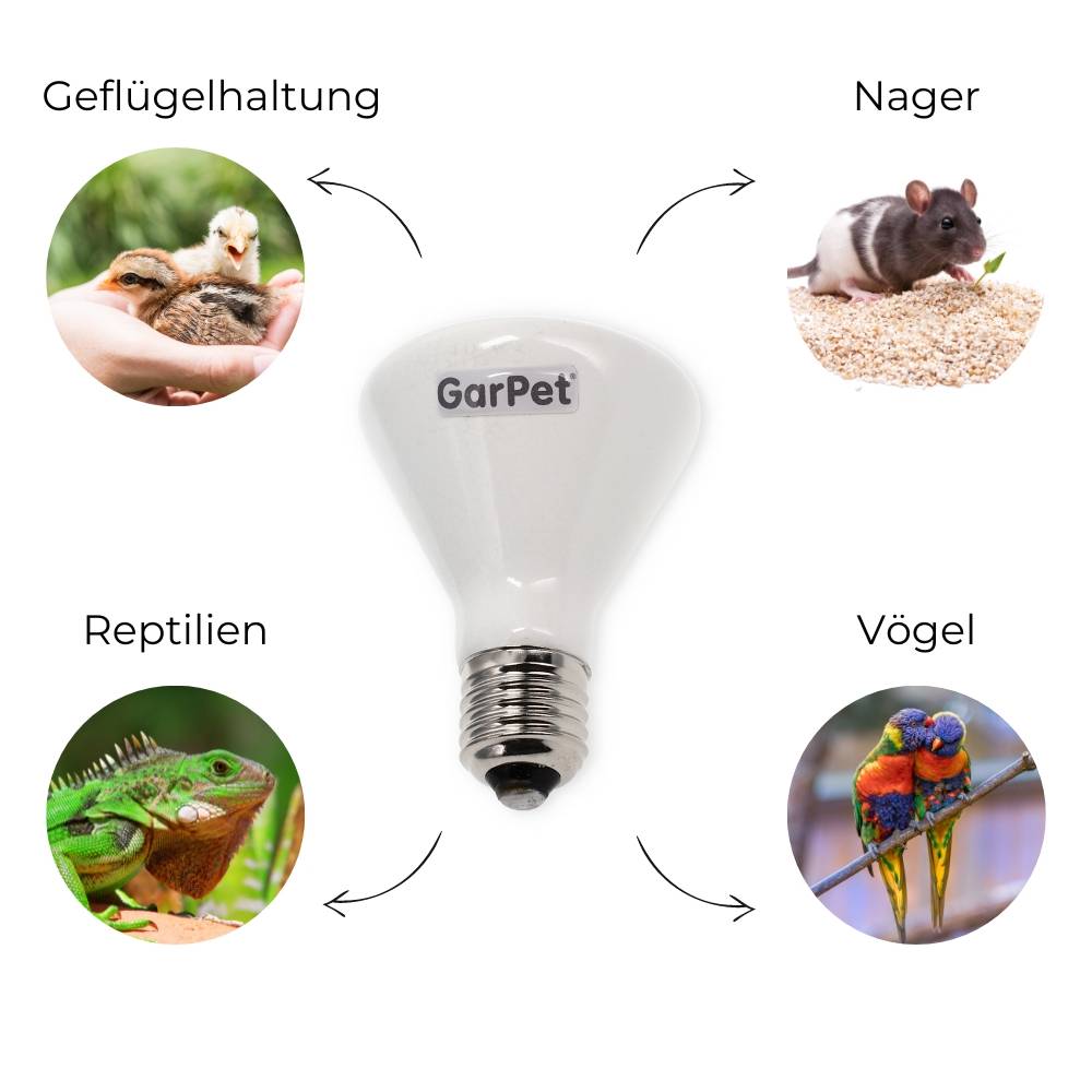 Dunkelstrahler Keramiklampe 60 Watt