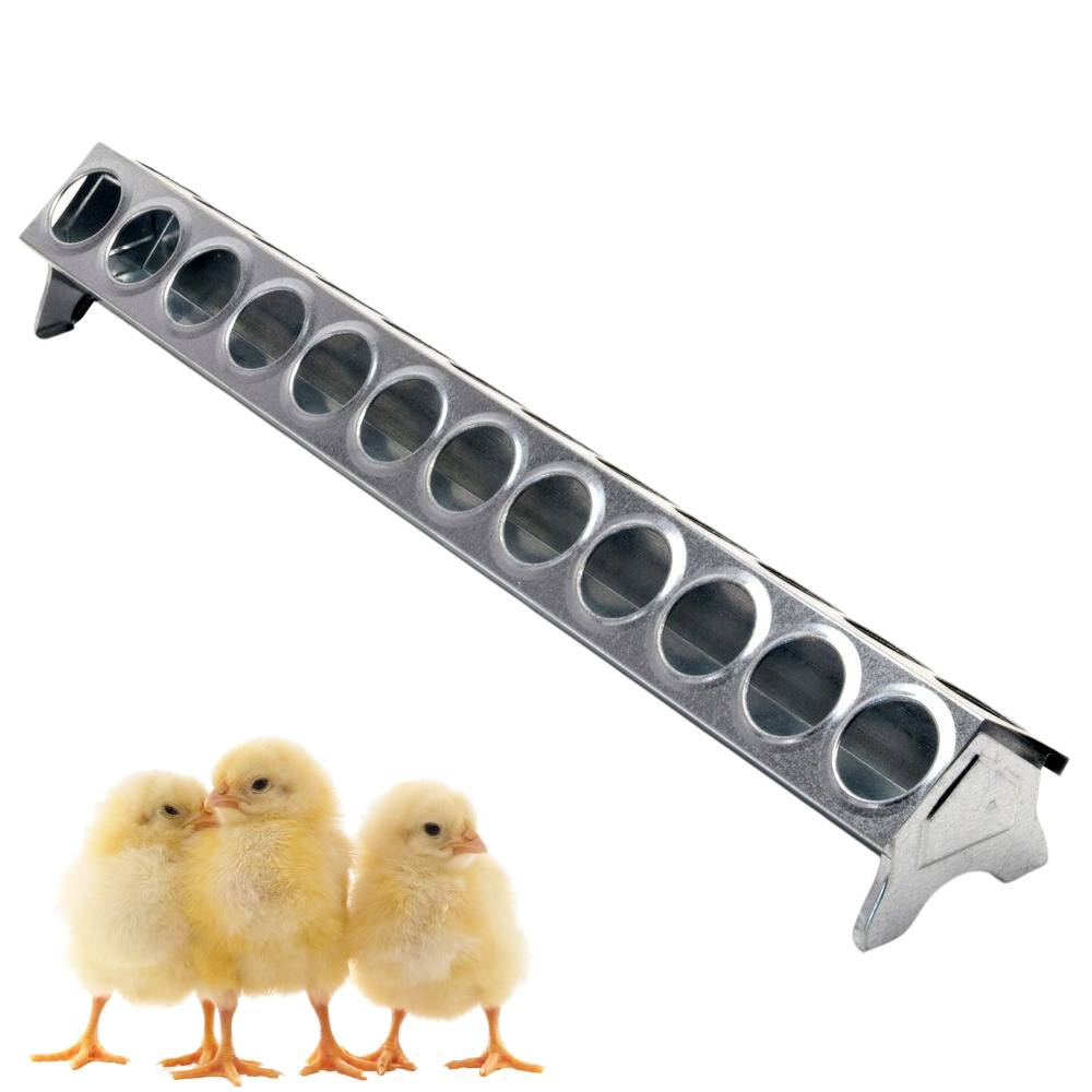 Futtertrog Metall Küken verzinkt 50 cm Lochgitter
