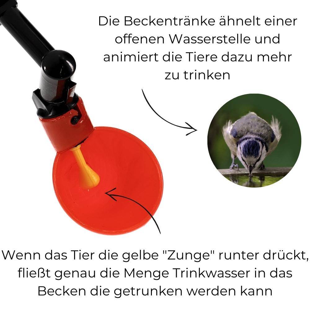 Beckentränke Küken Nager Hasen Hühner Geflügel Wasser Becken Tränke Trinkflasche 500 ml