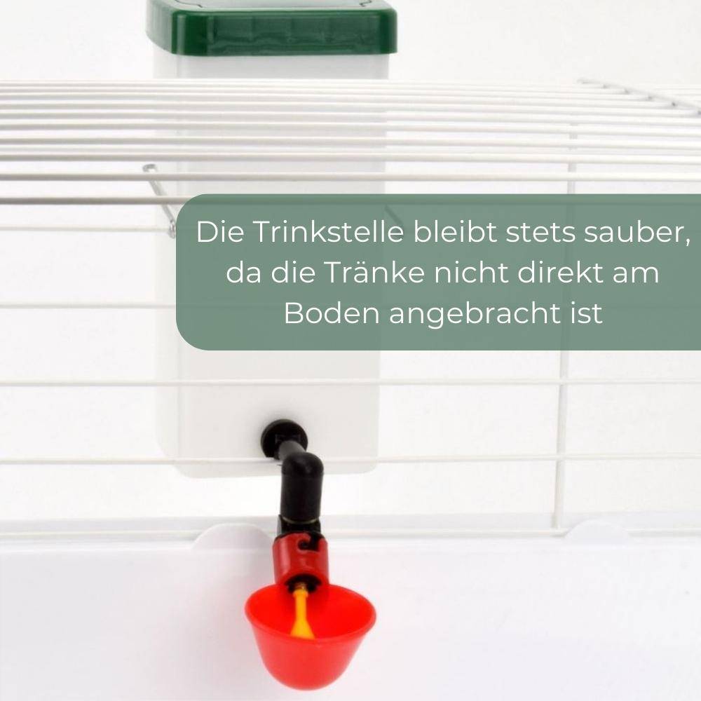 Beckentränke Küken Nager Hasen Hühner Geflügel Wasser Becken Tränke Trinkflasche 500 ml