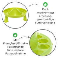 GarPet Futterautomat Hühner mit Stand Füßen grün Geflügel Futterspender Futtertrog 4 Kg Wachteln Trog Automatisch groß GarPet Futterautomat Hühner mit Stand Füßen grün Geflügel Futterspender Futtertrog 4 Kg Wachteln Trog Automatisch groß