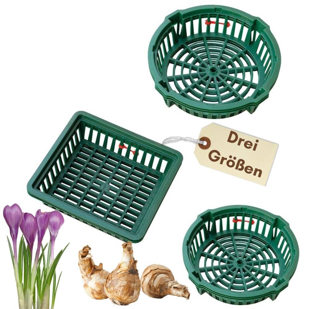 Pflanzkörbe für Blumenzwiebeln Pflanzkorb Blumenzwiebeln Pflanzkörbe für Tulpen Zwiebelpflanzschale Herbstpflanzung Blumenzwiebelschale ø 22 cm 3