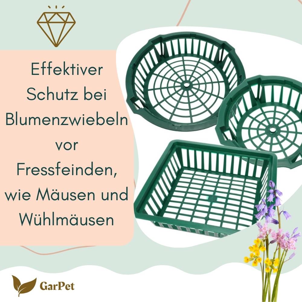 Pflanzkörbe für Blumenzwiebeln Pflanzkorb Blumenzwiebeln Pflanzkörbe für Tulpen Zwiebelpflanzschale Herbstpflanzung Blumenzwiebelschale ø 30 cm 3