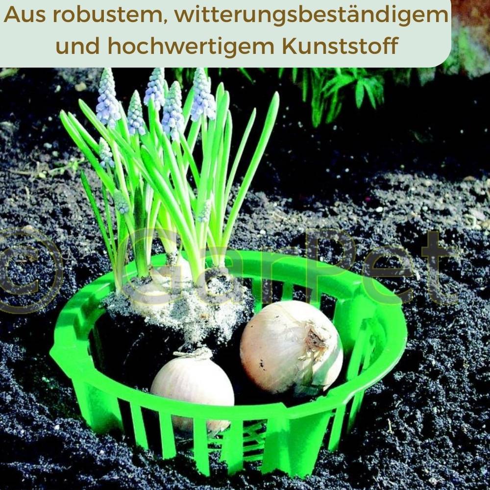 Pflanzkörbe für Blumenzwiebeln Pflanzkorb Blumenzwiebeln Pflanzkörbe für Tulpen Zwiebelpflanzschale Herbstpflanzung Blumenzwiebelschale ø 30 cm 3