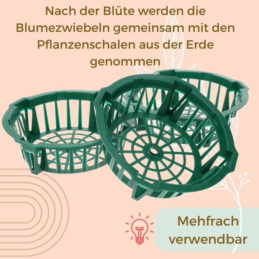 Pflanzkörbe für Blumenzwiebeln Pflanzkorb Blumenzwiebeln Pflanzkörbe für Tulpen Zwiebelpflanzschale Herbstpflanzung Blumenzwiebelschale ø 30 cm 3