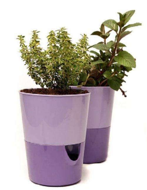 Kräutertopf mit Bewässerungssystem Kräutergarten Küche Balkon Fensterbank Selbstbewässernd Glänzend Kräuterbeet Kräuter Blumen Topf light + da