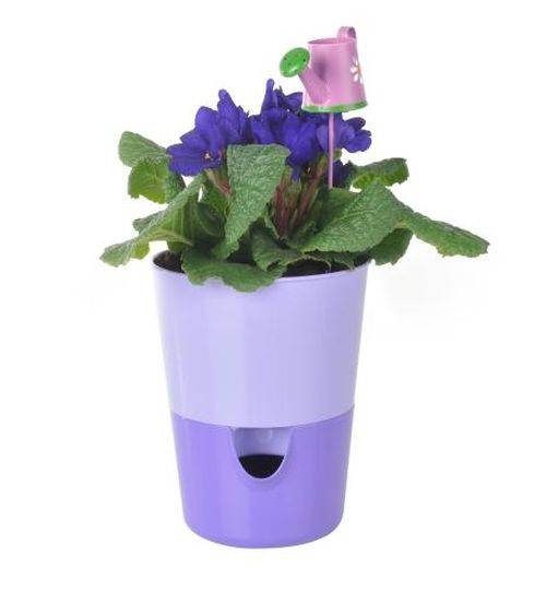 Kräutertopf mit Bewässerungssystem Kräutergarten Küche Balkon Fensterbank Selbstbewässernd Glänzend Kräuterbeet Kräuter Blumen Topf light + da