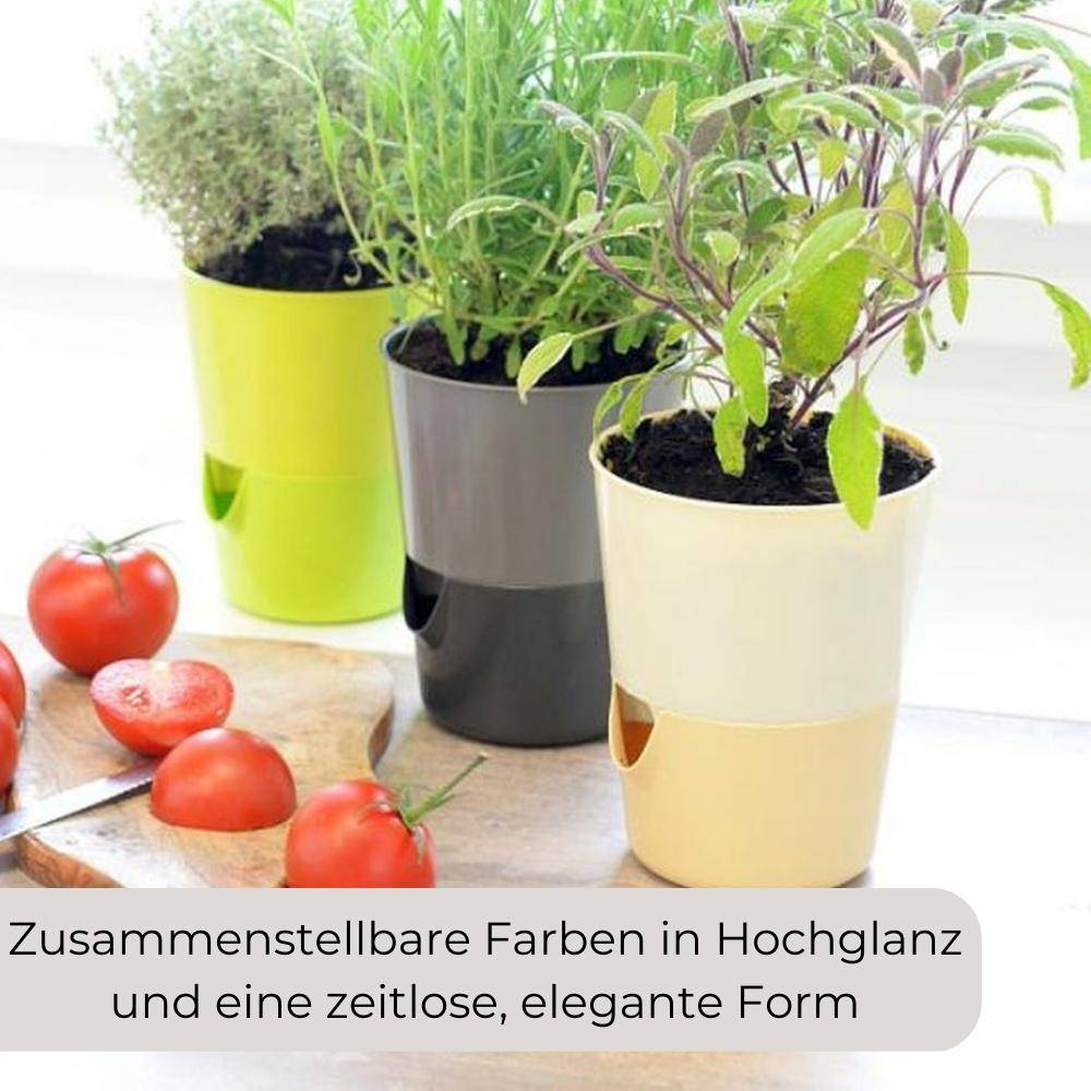 Kräutertopf mit Bewässerungssystem Kräutergarten Küche Balkon Fensterbank Selbstbewässernd Glänzend Kräuterbeet Kräuter Blumen Topf hell + dun