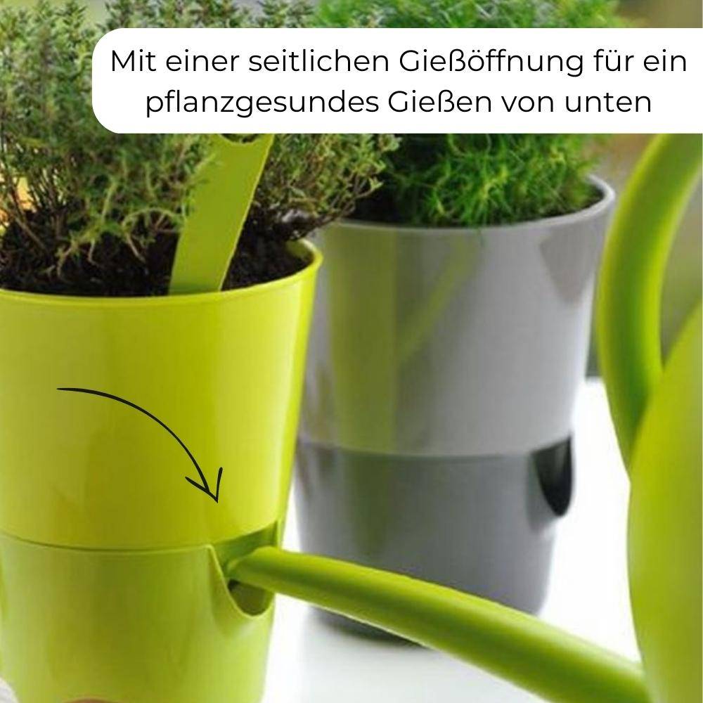 Kräutertopf mit Bewässerungssystem Kräutergarten Küche Balkon Fensterbank Selbstbewässernd Glänzend Kräuterbeet Kräuter Blumen Topf hell + dun