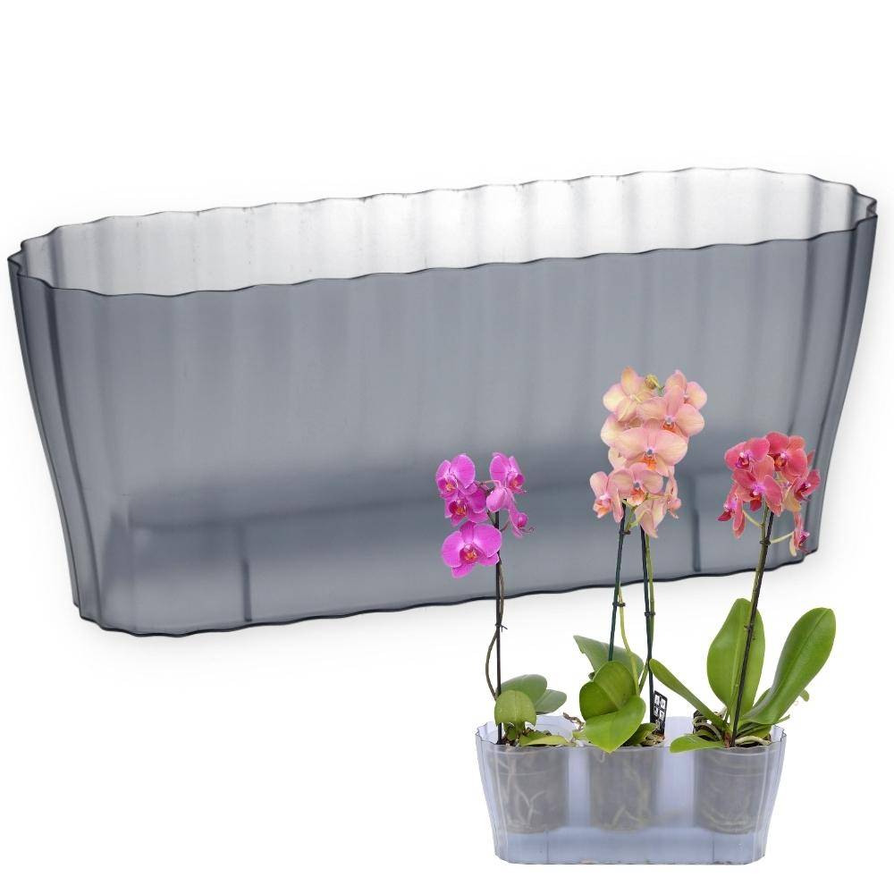 Orchideentopf TRIOLA rauchfarbig
