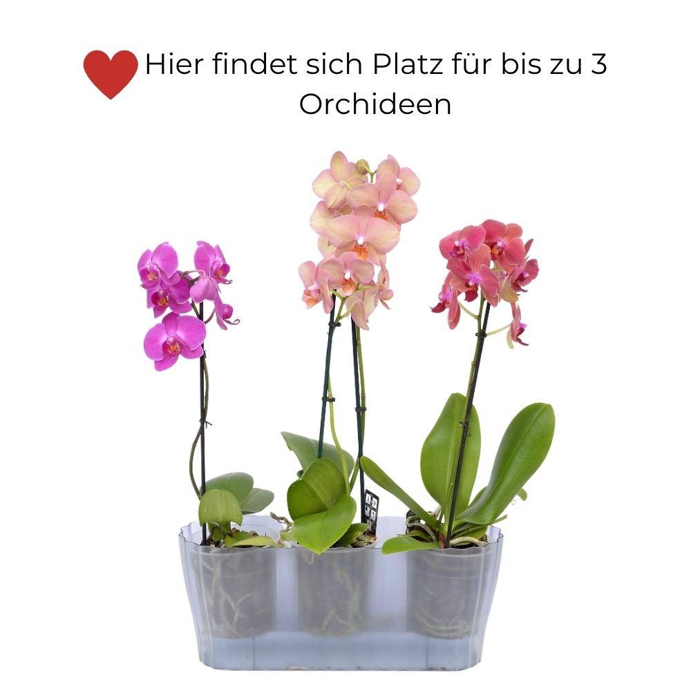 Orchideentopf TRIOLA rauchfarbig
