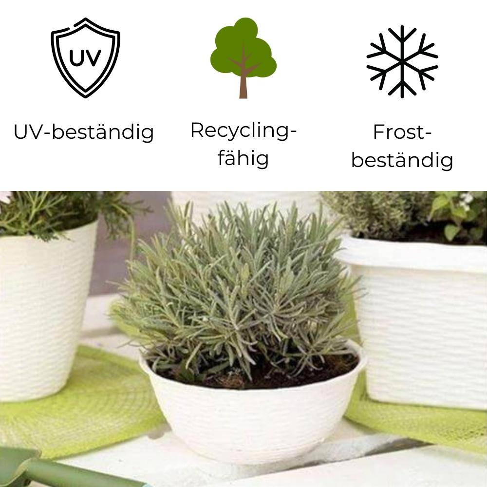 Pflanzschale mit Untersetzer anthrazit 40 cm