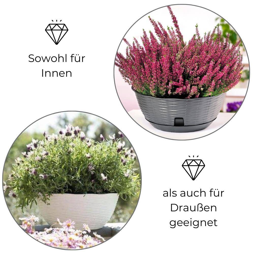 Pflanzschale mit Untersetzer anthrazit 40 cm