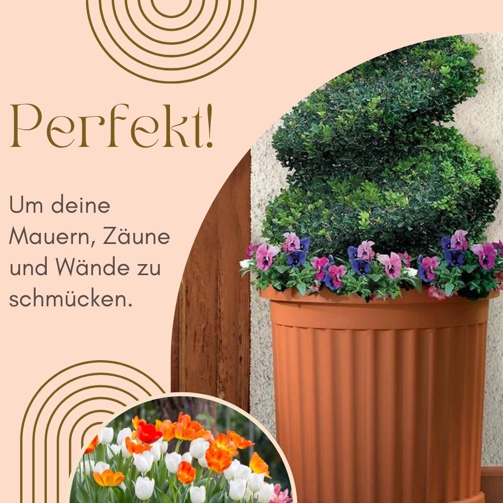 Pflanzkübel Halbrund terracotta