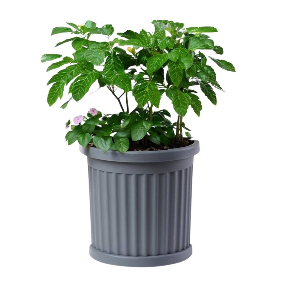 Pflanzkübel Halbrund grau