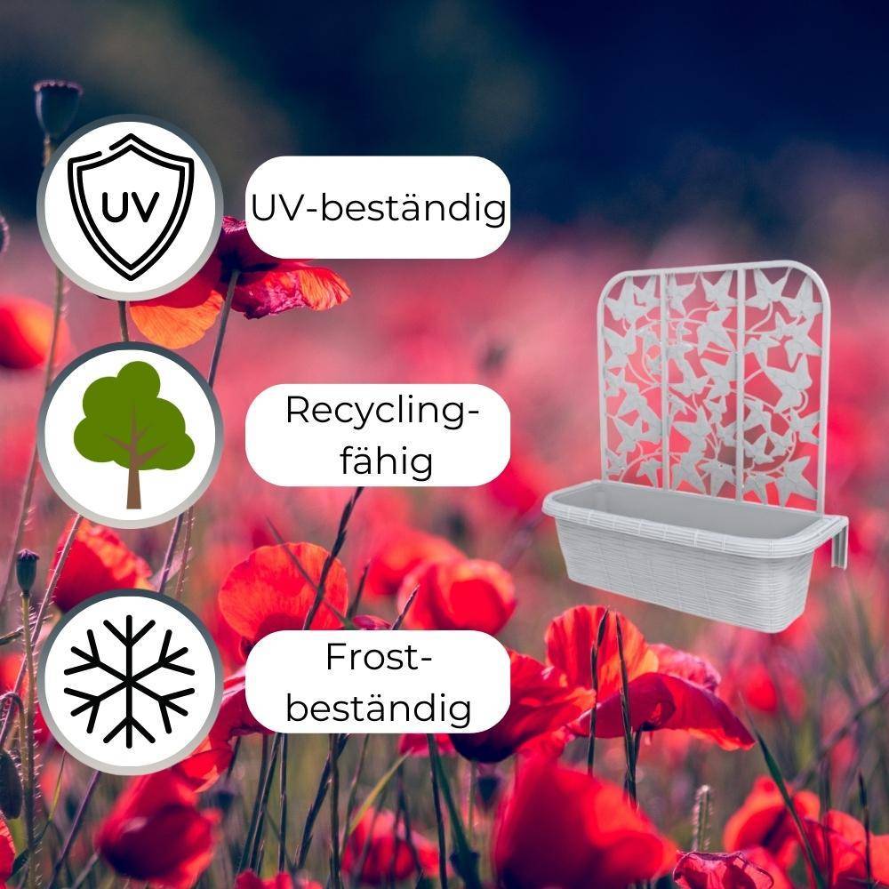 2x Balkonkasten mit Spalier für Kletterpflanzen Blumenkasten Geländerkasten 60 Rattan Optik Balkon Geländer Kasten Halterung Wasserspeicher Weiß