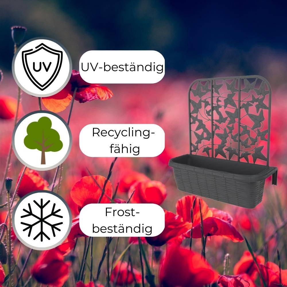 2x Balkonkasten mit Spalier für Kletterpflanzen Blumenkasten Geländerkasten 60 Rattan Optik Balkon Geländer Kasten Halterung Wasserspeicher Anthraz