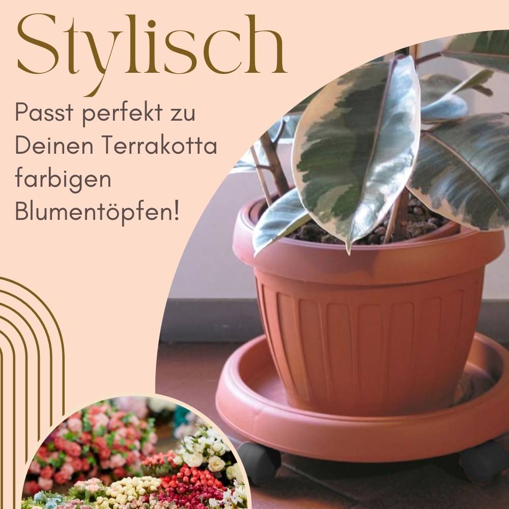 Pflanzenroller rund Rollbrett Pflanzen Blumentopf Untersetzer mit Rollen Blumenroller Pflanzenrolle Rolluntersetzer Wetterfest 25 cm