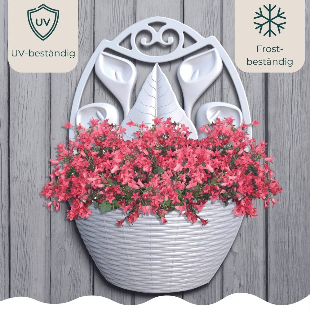 Blumentopf Wand Blumentopf Wandmontage Wandblumentopf Wandvasen für Pflanzen Wandhalterung Wandtopf Wandgefäß Rattan Optik weiß