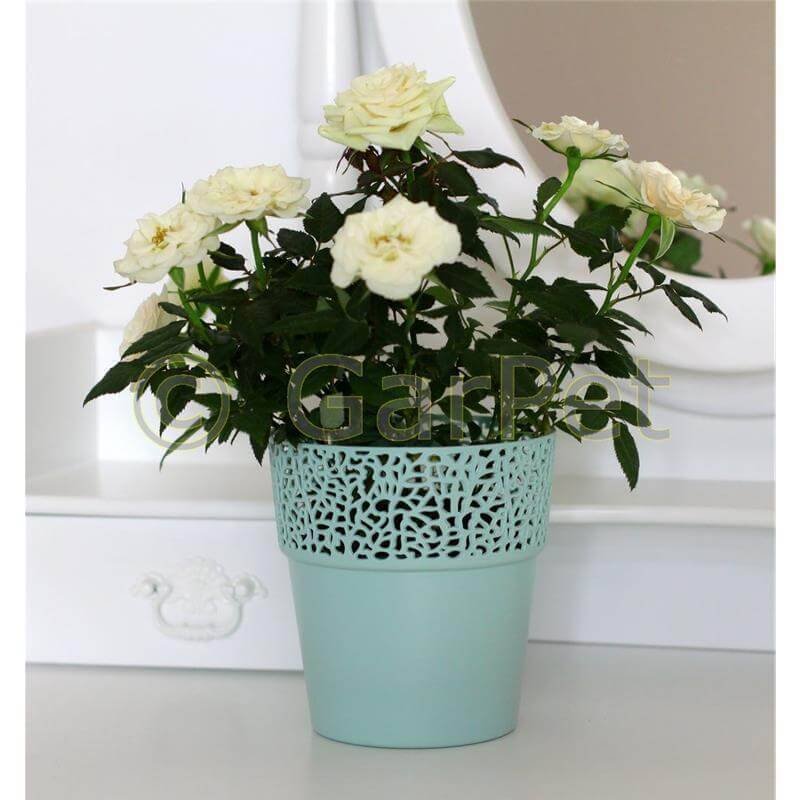 Übertopf Rosa minze 130