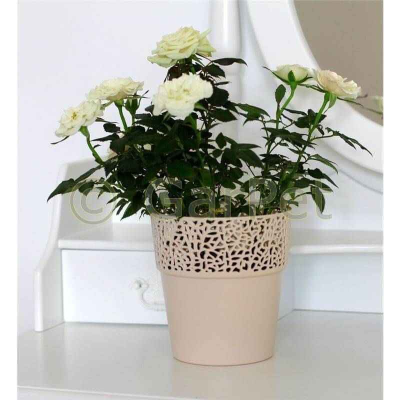 Übertopf Rosa nude 170